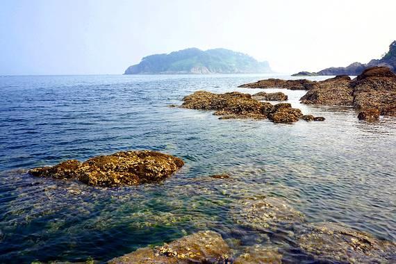 利好政策密集落地 房地产板块迎来布局机遇