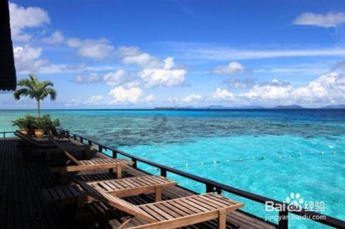 向海图强，他有“海牛”那股劲儿