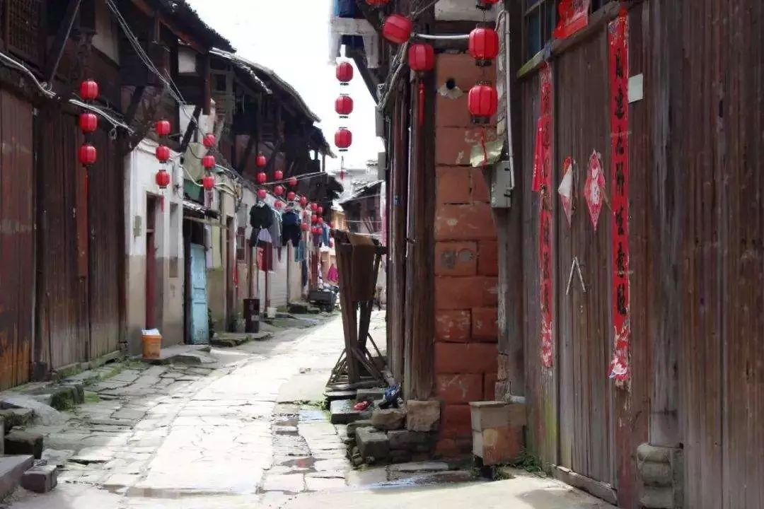 青蛙魔术师